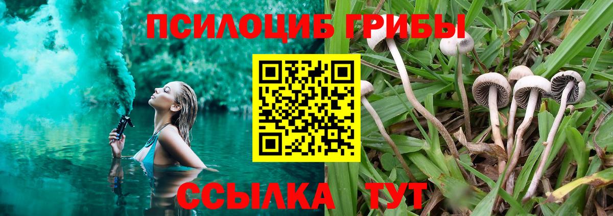 Ханты-Мансийск  Галлюциногенные грибы GOLDEN TEACHER  сколько стоит  Вход с VPN  Псилоцибиновые грибы Psilocybine cubensis 